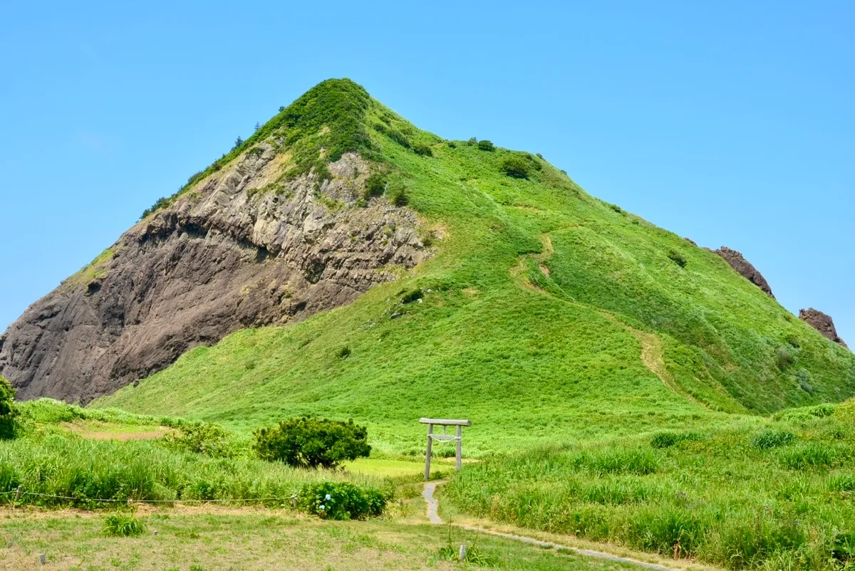 大野龜