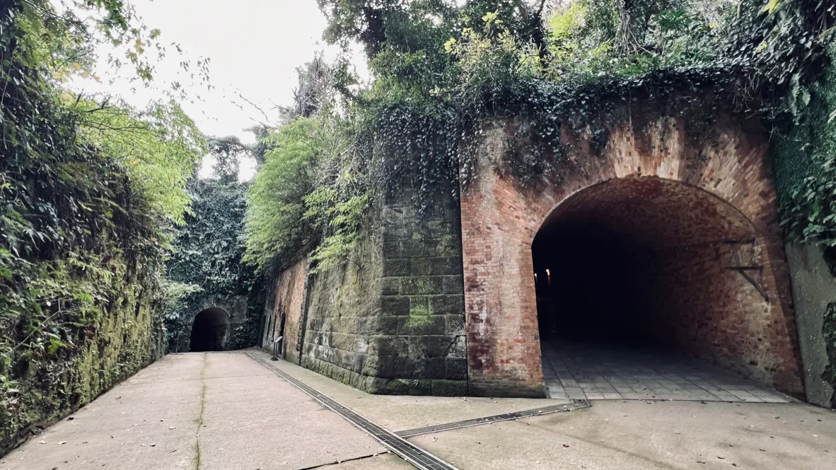 被自然吞噬的要塞遺跡