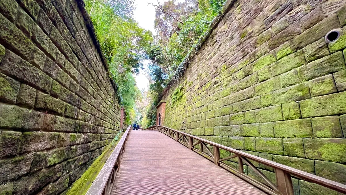 被自然吞噬的要塞遺跡