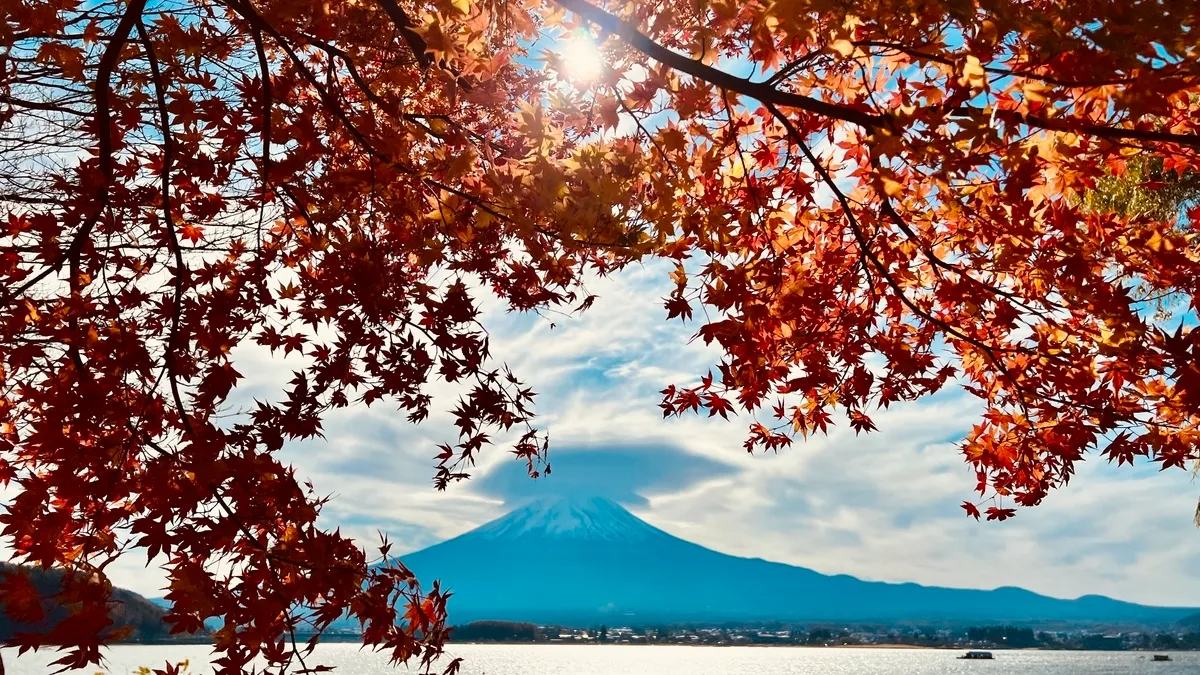 富士山和楓葉