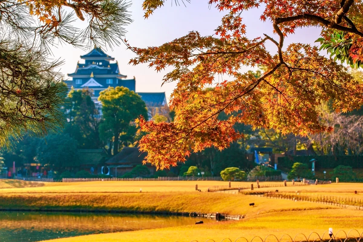 紅葉與庭園