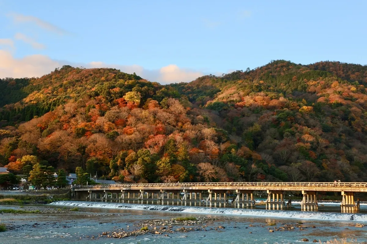 秋天的渡月橋