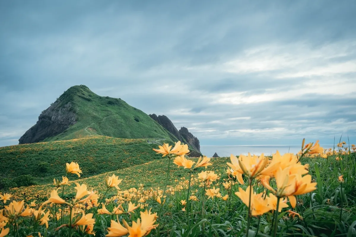 佐渡島