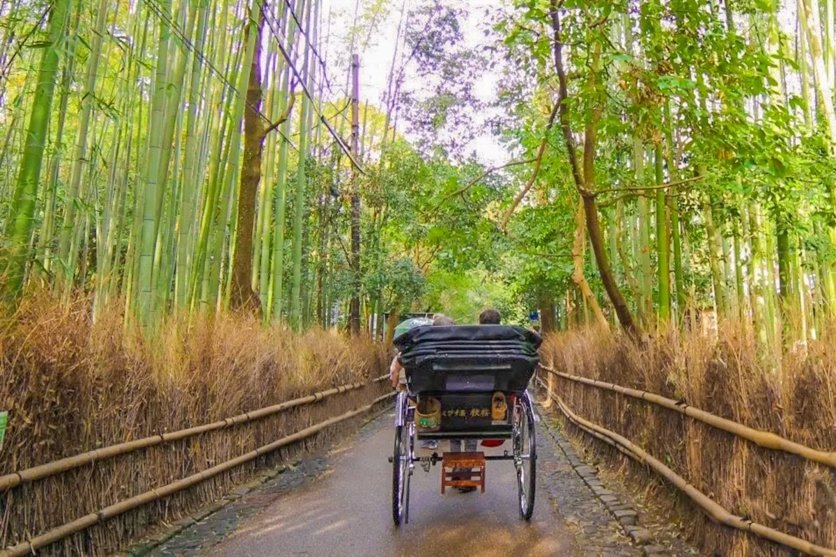 行駛在竹林小徑的人力車