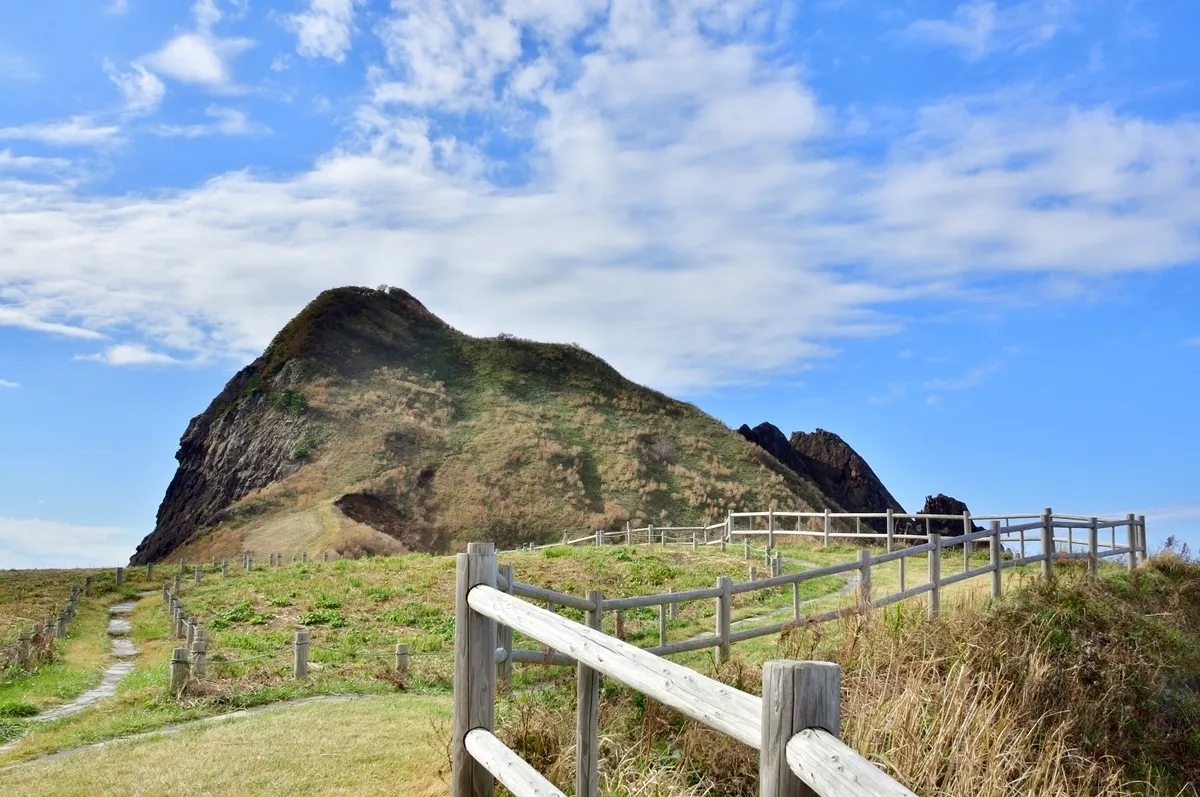 大野龜