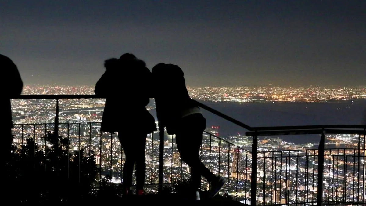 從掬星台觀賞的夜景