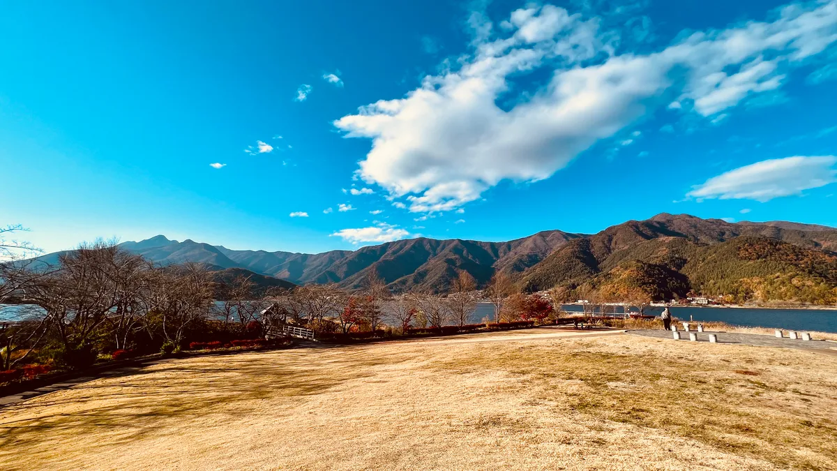 從八木崎公園的景色