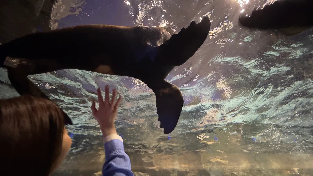 水族館內