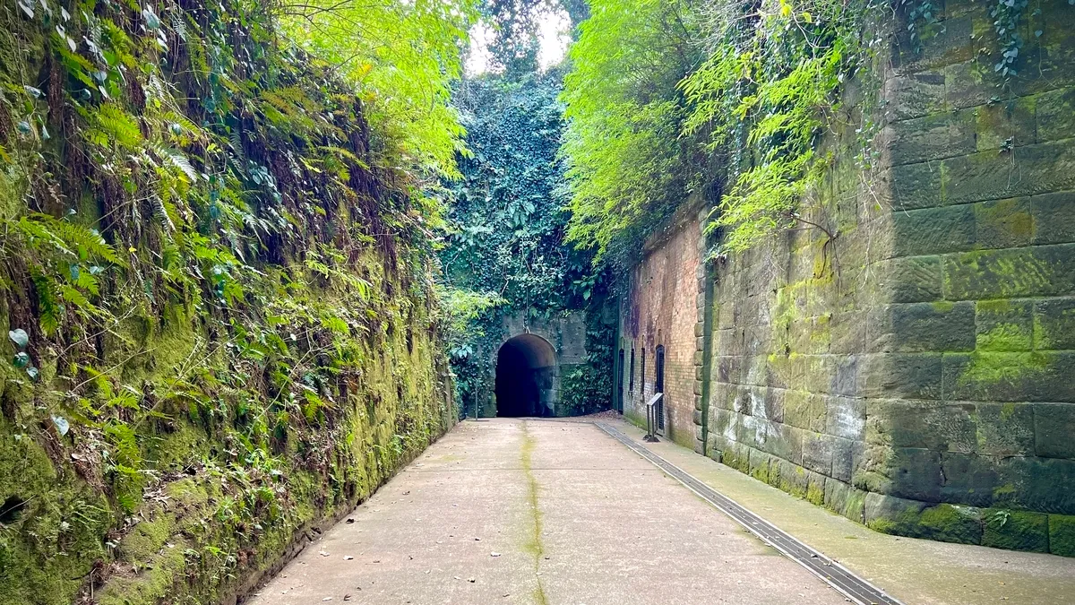 猿島神秘風景