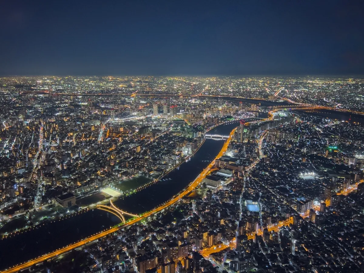 從晴空塔可見的夜景
