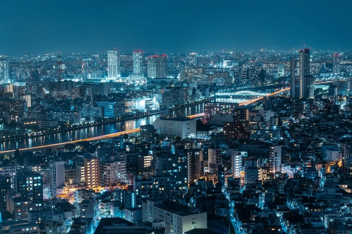 從晴空塔可見的夜景