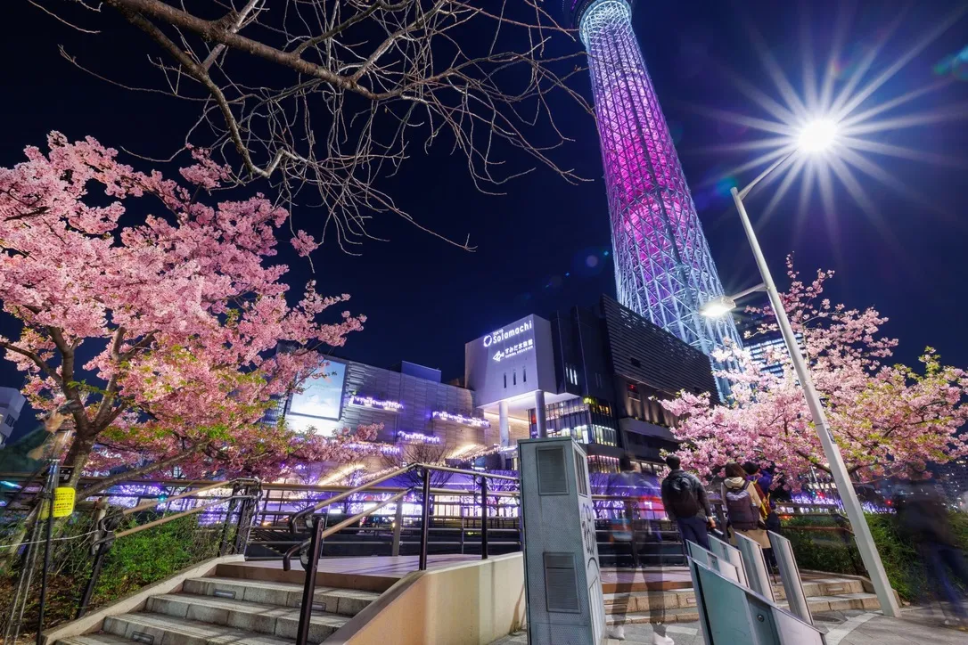 東京晴空塔的燈光秀