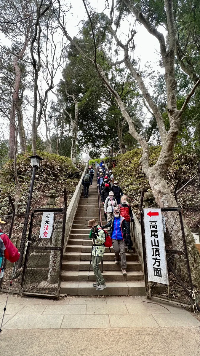 通往山頂的台階