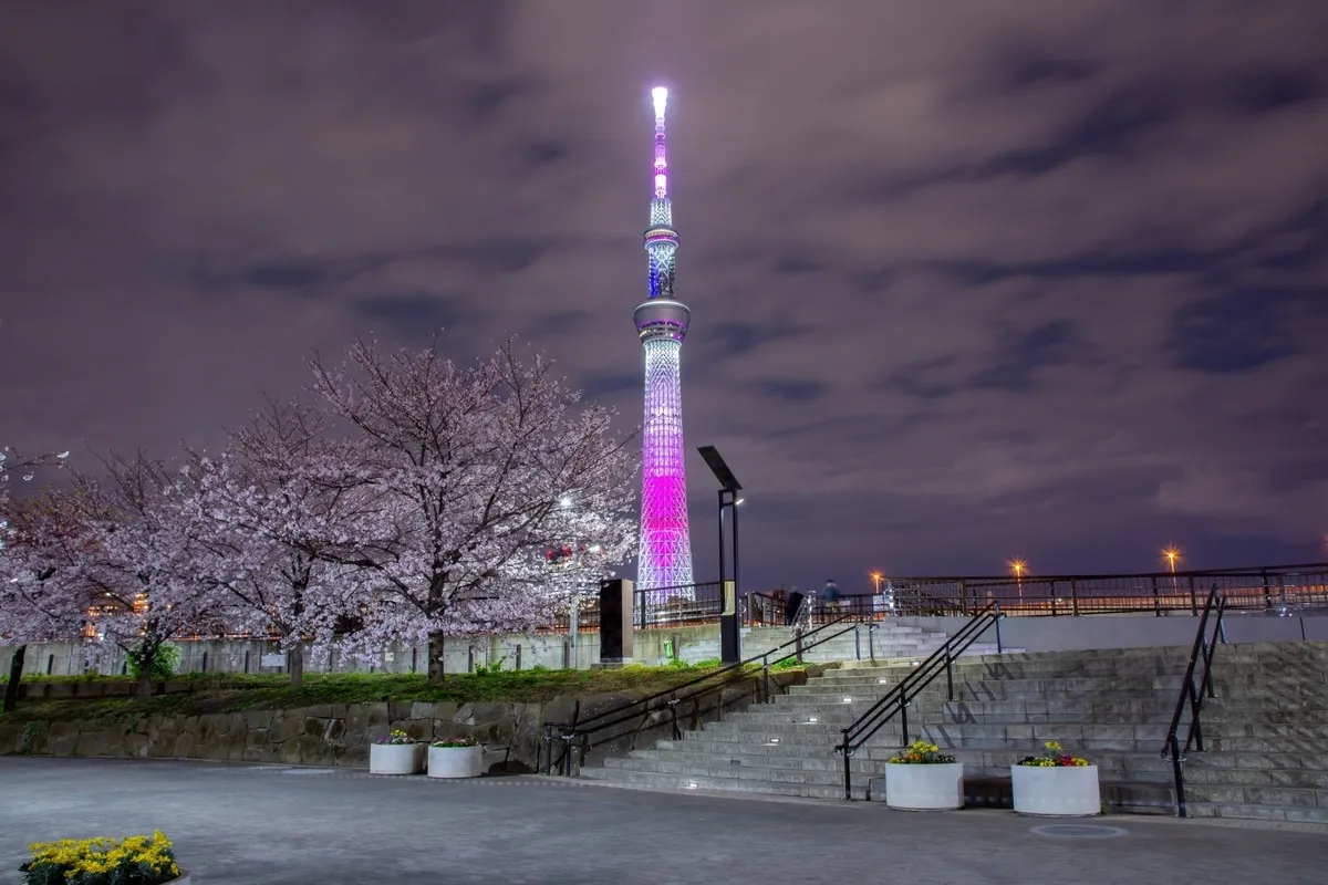從隅田公園觀看的晴空塔燈光秀