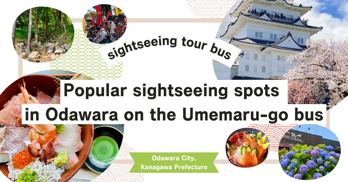 從小田原站搭乘觀光巴士「梅丸號」可前往小田原的人氣觀光景點