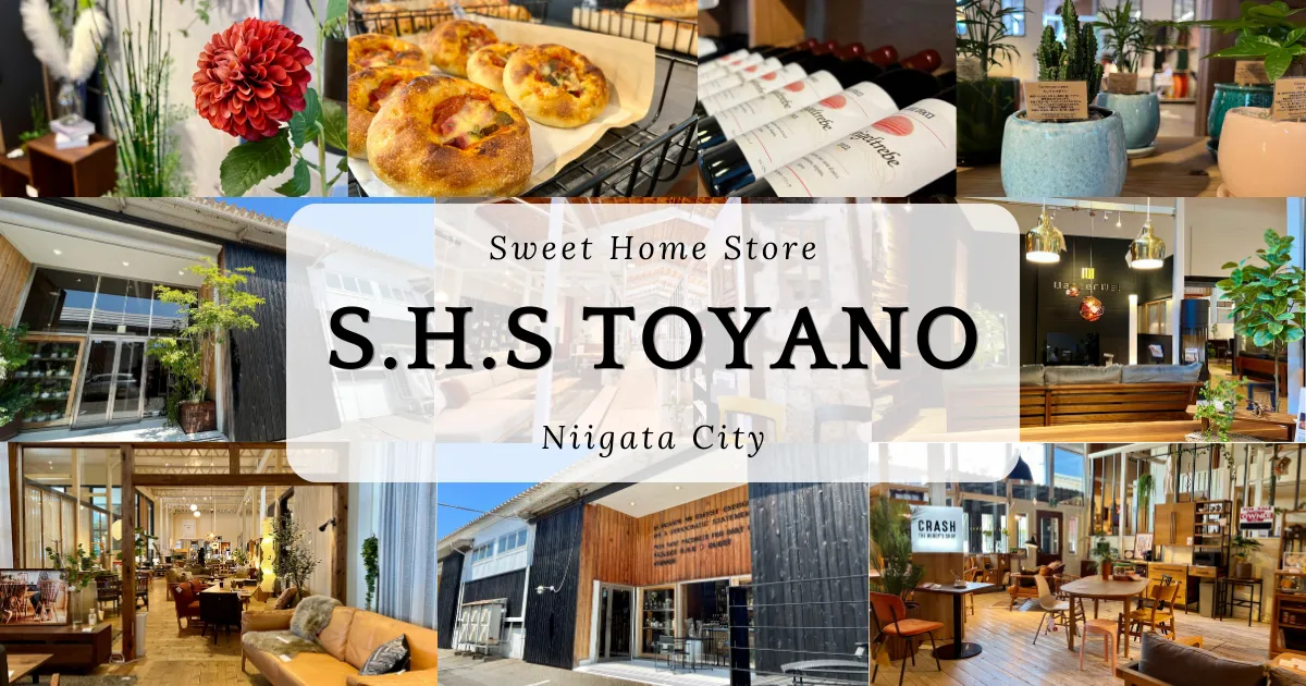 S.H.S Toyano：新潟頗受歡迎的家具和室內裝潢店。整體空間設計非常精彩。